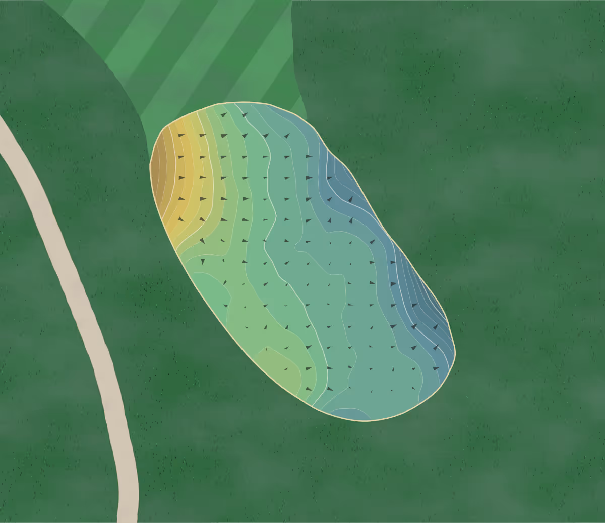 Green contour map of Wintonbury Hills in Bloomfield, Connecticut — 223 elevation contours at a 3-inch interval with fall-line arrows, traced from 1-meter lidar