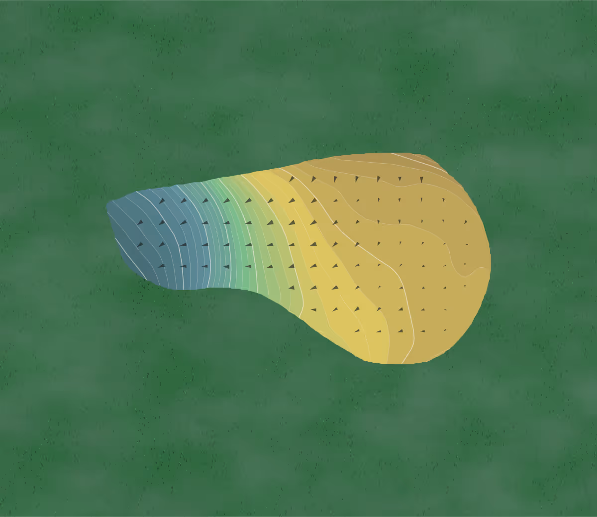 Green contour map of Wolferts Roost in Albany, New York — 243 elevation contours at a 3-inch interval with fall-line arrows, traced from 1-meter lidar