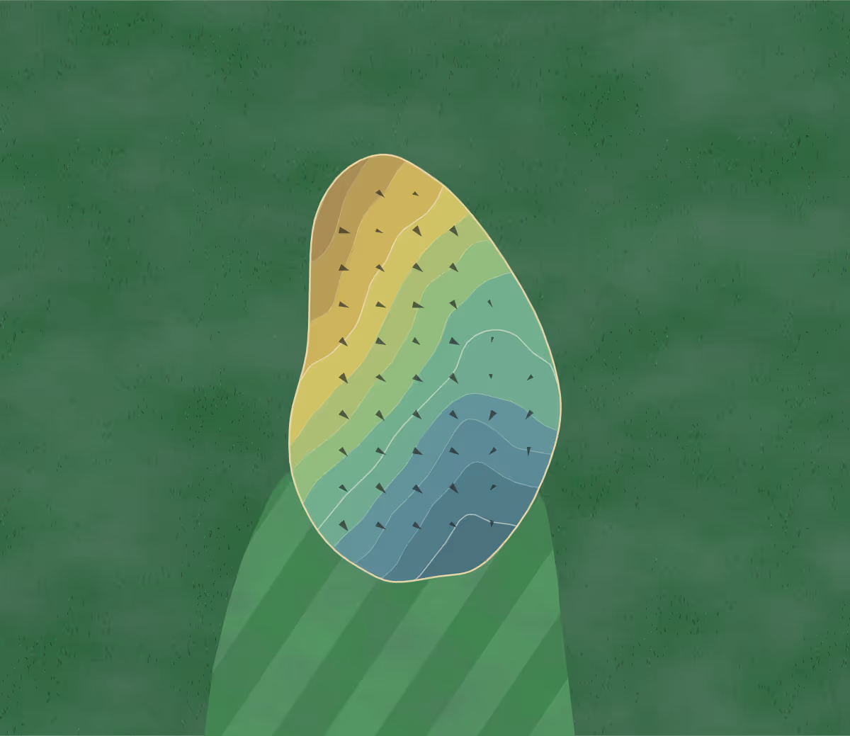 Green contour map of Wood Hollow in Longview, Texas — 127 elevation contours at a 3-inch interval with fall-line arrows, traced from 1-meter lidar