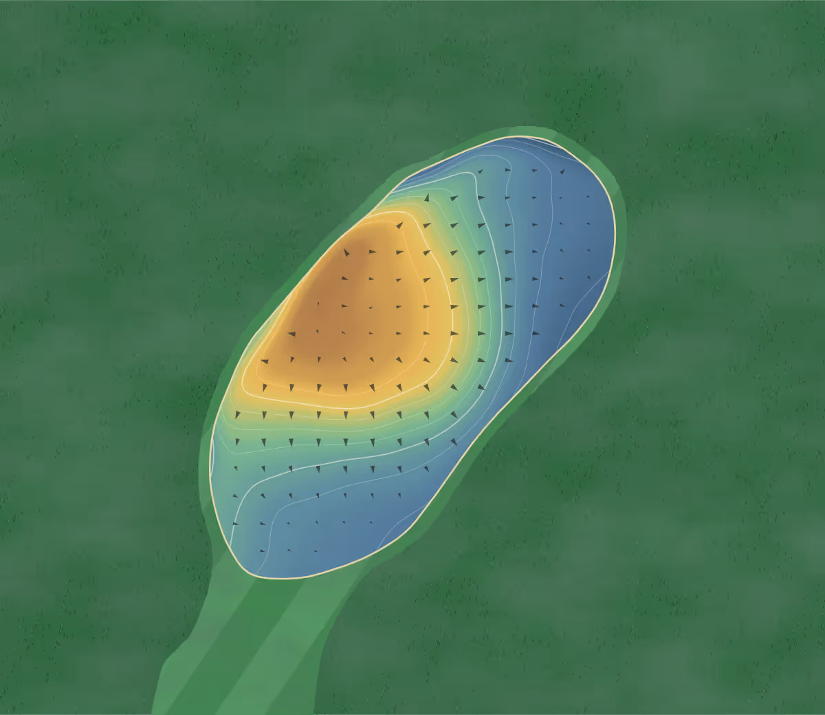 Green contour map of Woodington Lake in Tottenham, Canada — 12 elevation contours at a 8-centimeter interval with fall-line arrows, traced from 1-meter lidar
