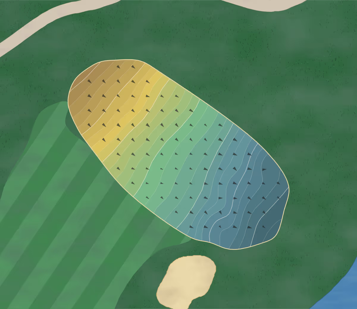 Green contour map of Woodlands in The Villages, Florida — 79 elevation contours at a 3-inch interval with fall-line arrows, traced from 1-meter lidar