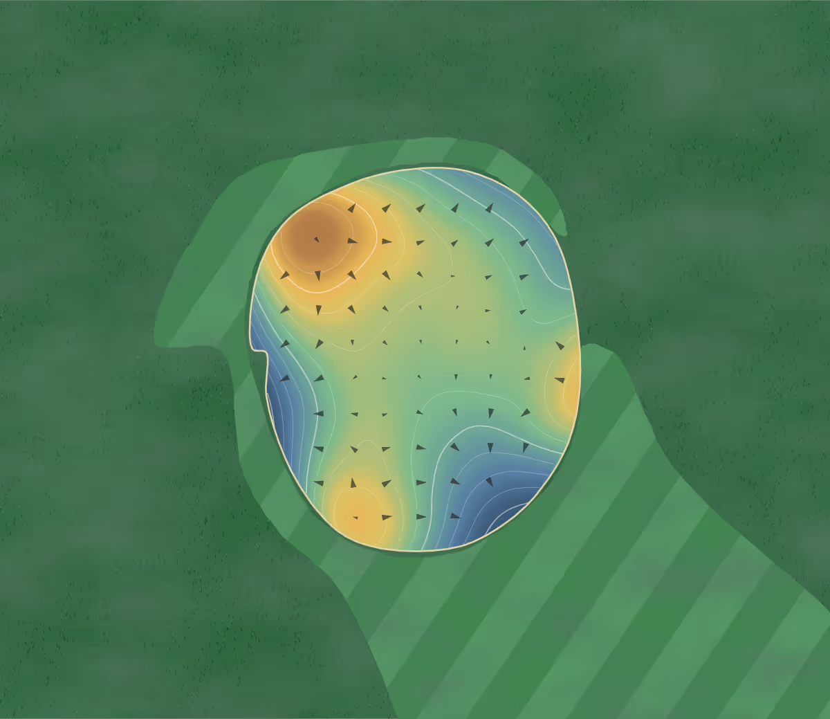 Green contour map of Woodview in North Kawartha, Canada: 101 elevation contours at a 8-centimeter interval with fall-line arrows, traced from 1-meter lidar