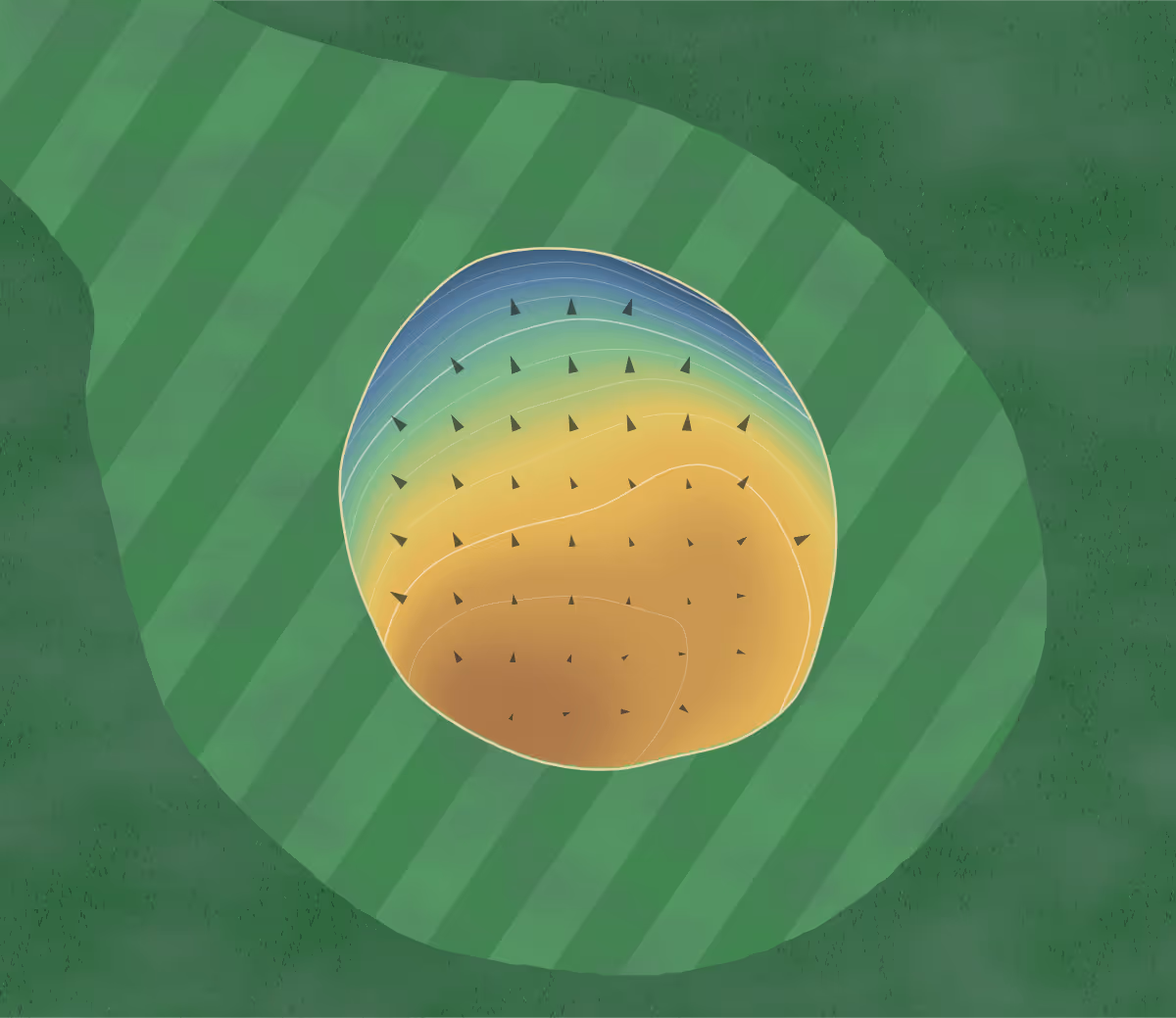 Green contour map of Woodward Municipal in Woodward, Oklahoma — 75 elevation contours at a 3-inch interval with fall-line arrows, traced from 1-meter lidar