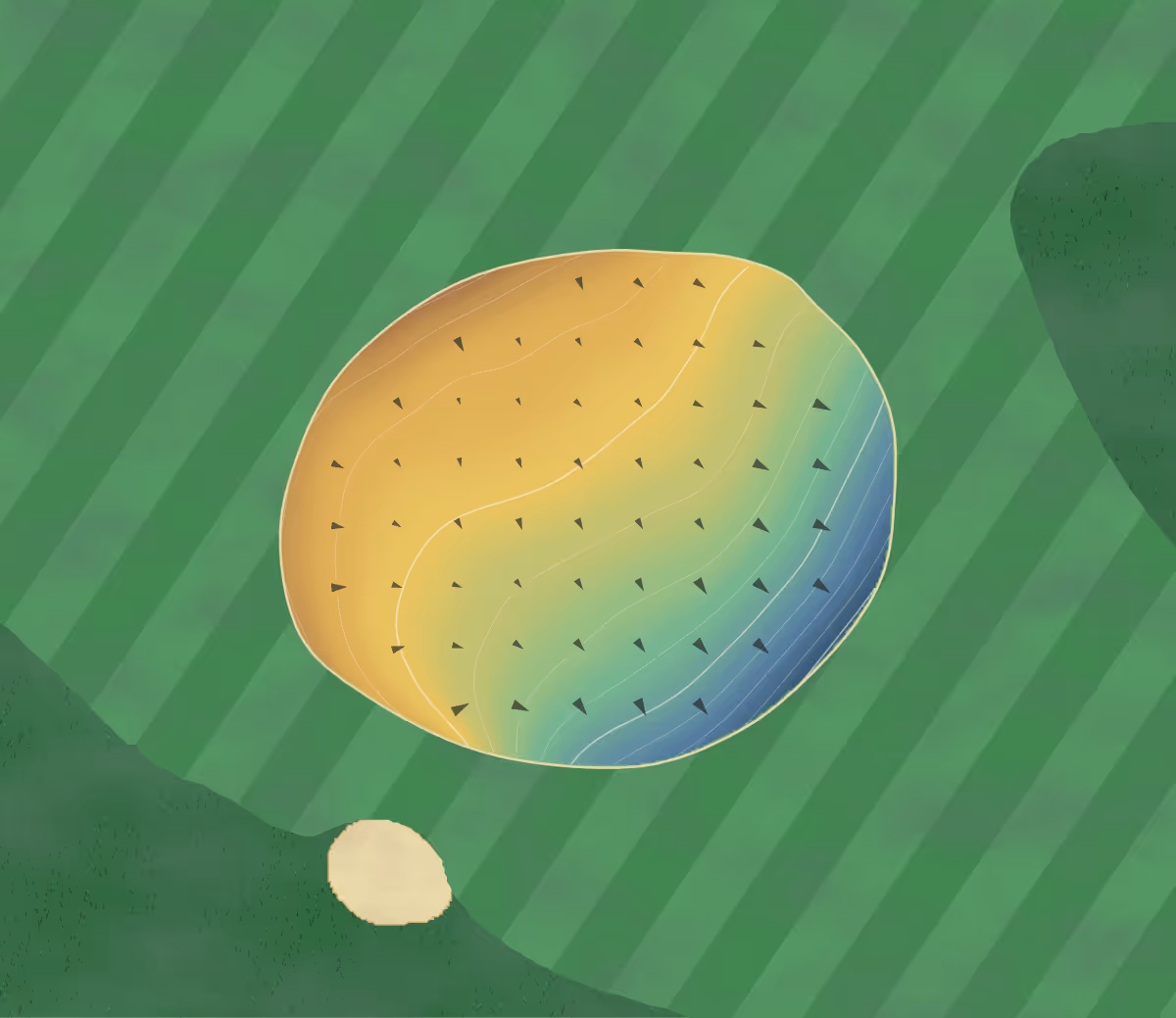 Green contour map of Woollahra Golf Club in Bellevue Hill, Sydney, Australia — 72 elevation contours at a 8-centimeter interval with fall-line arrows, traced from 1-meter lidar