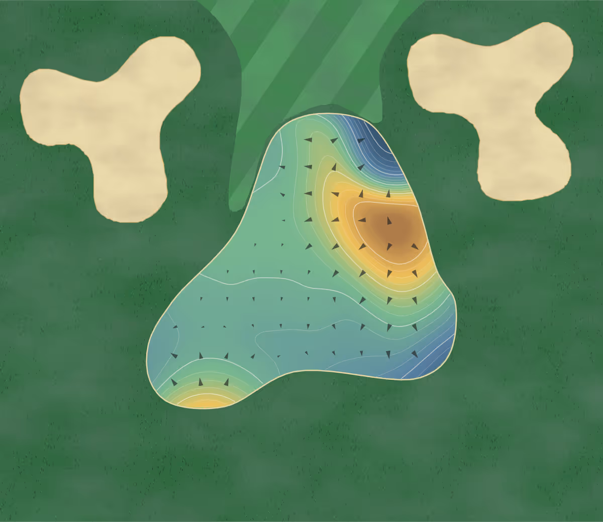 Green contour map of Wyboo in Manning, South Carolina — 254 elevation contours at a 3-inch interval with fall-line arrows, traced from 1-meter lidar