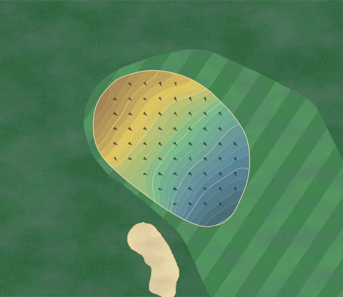 Green contour map of Wyndhurst Golf in Lenox, Massachusetts — 244 elevation contours at a 3-inch interval with fall-line arrows, traced from 1-meter lidar