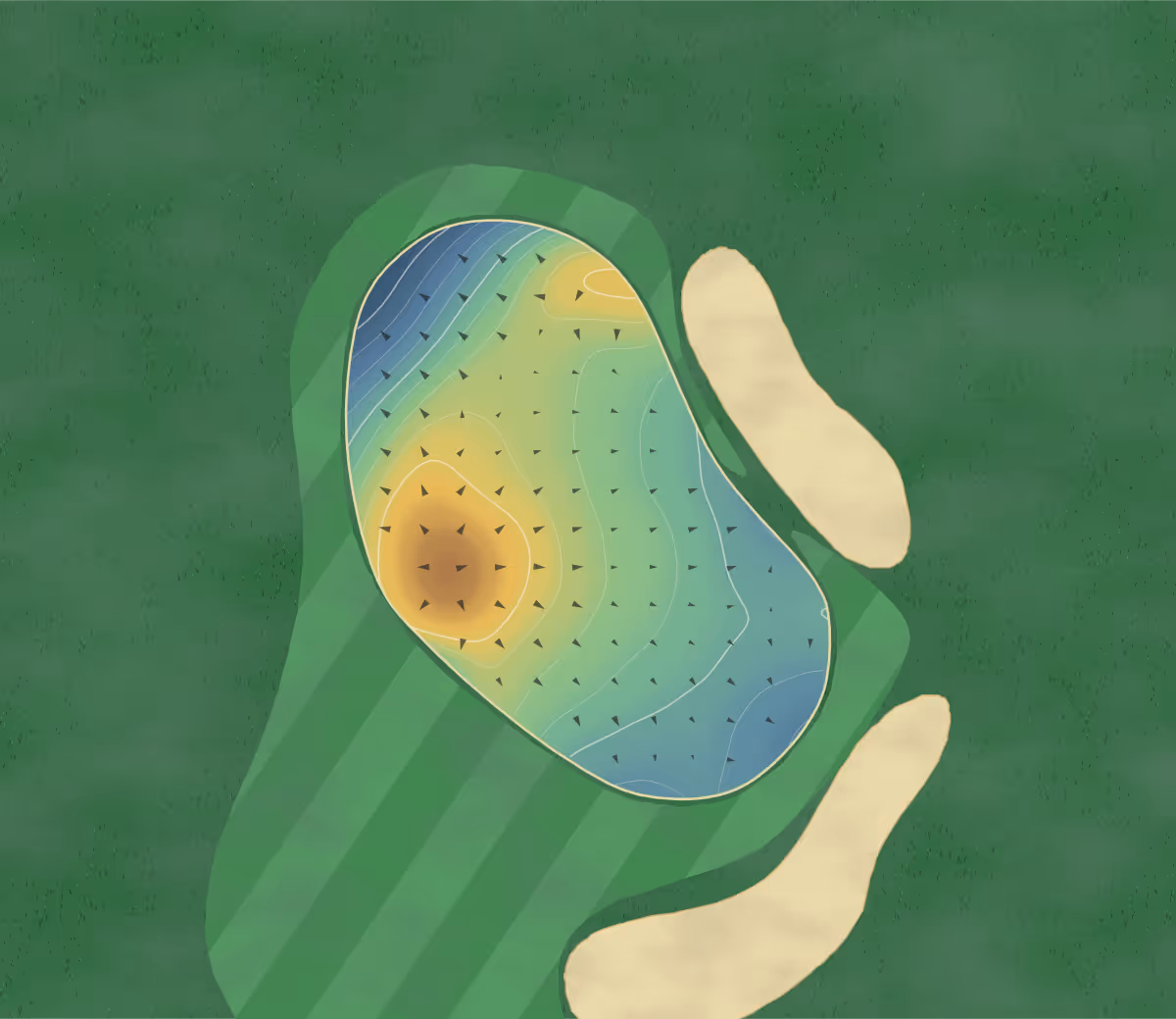 Green contour map of Wynyard GC in Wynyard, Canada: 84 elevation contours at a 8-centimeter interval with fall-line arrows, traced from 1-meter lidar