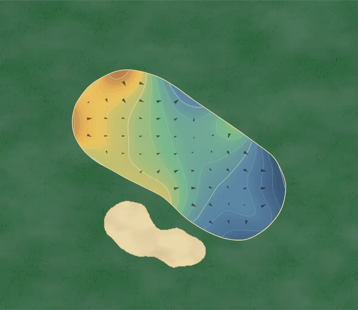 Green contour map of Yamba in Yamba, Australia — 181 elevation contours at a 8-centimeter interval with fall-line arrows, traced from 1-meter lidar