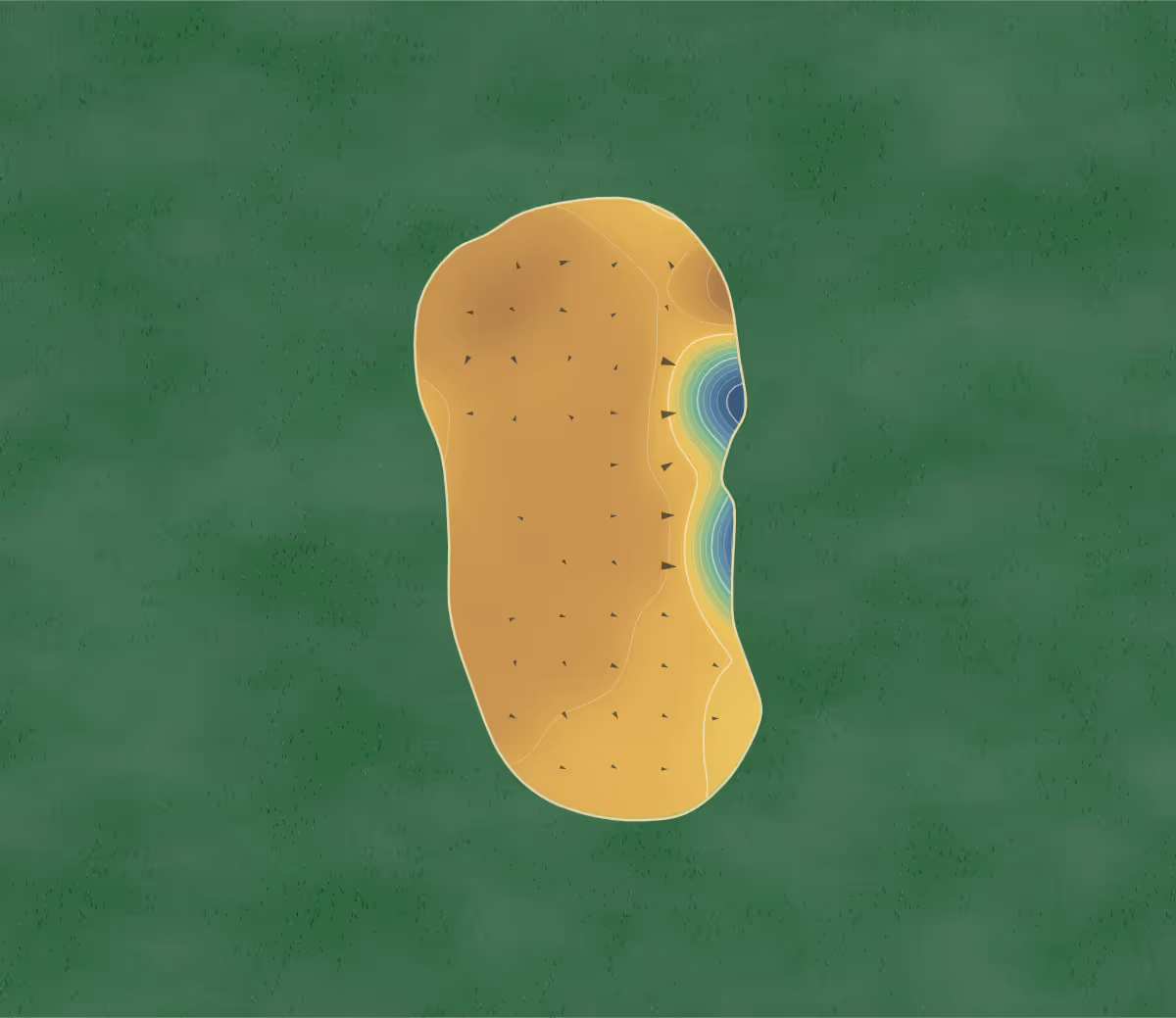 Green contour map of Yeppoon in Yeppoon, Australia — 24 elevation contours at a 8-centimeter interval with fall-line arrows, traced from 1-meter lidar
