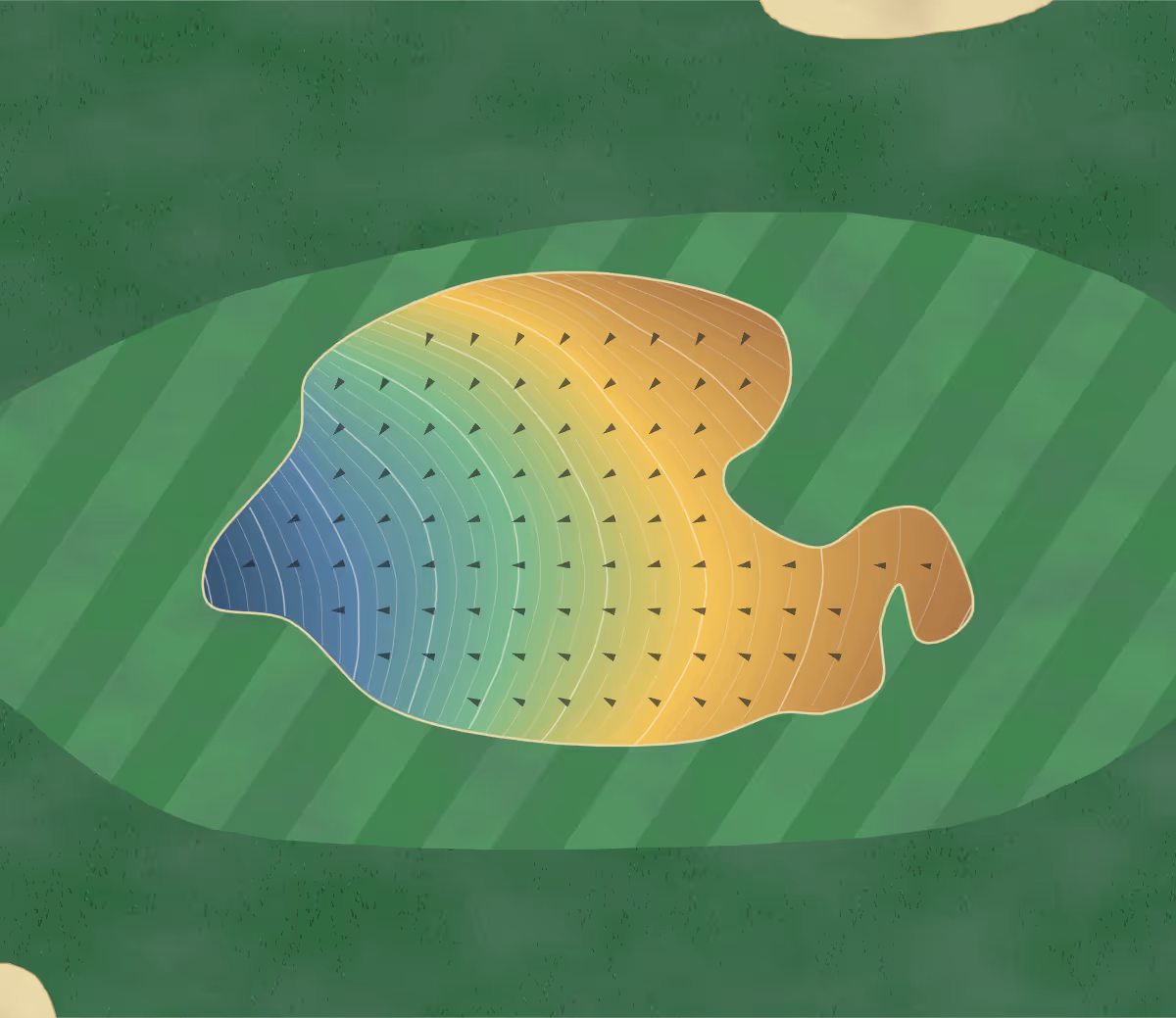 Green contour map of The National in Fukaya, Japan: 404 elevation contours at a 8-centimeter interval with fall-line arrows, traced from 1-meter lidar