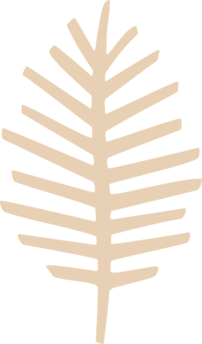 Candyroot Lodge logo