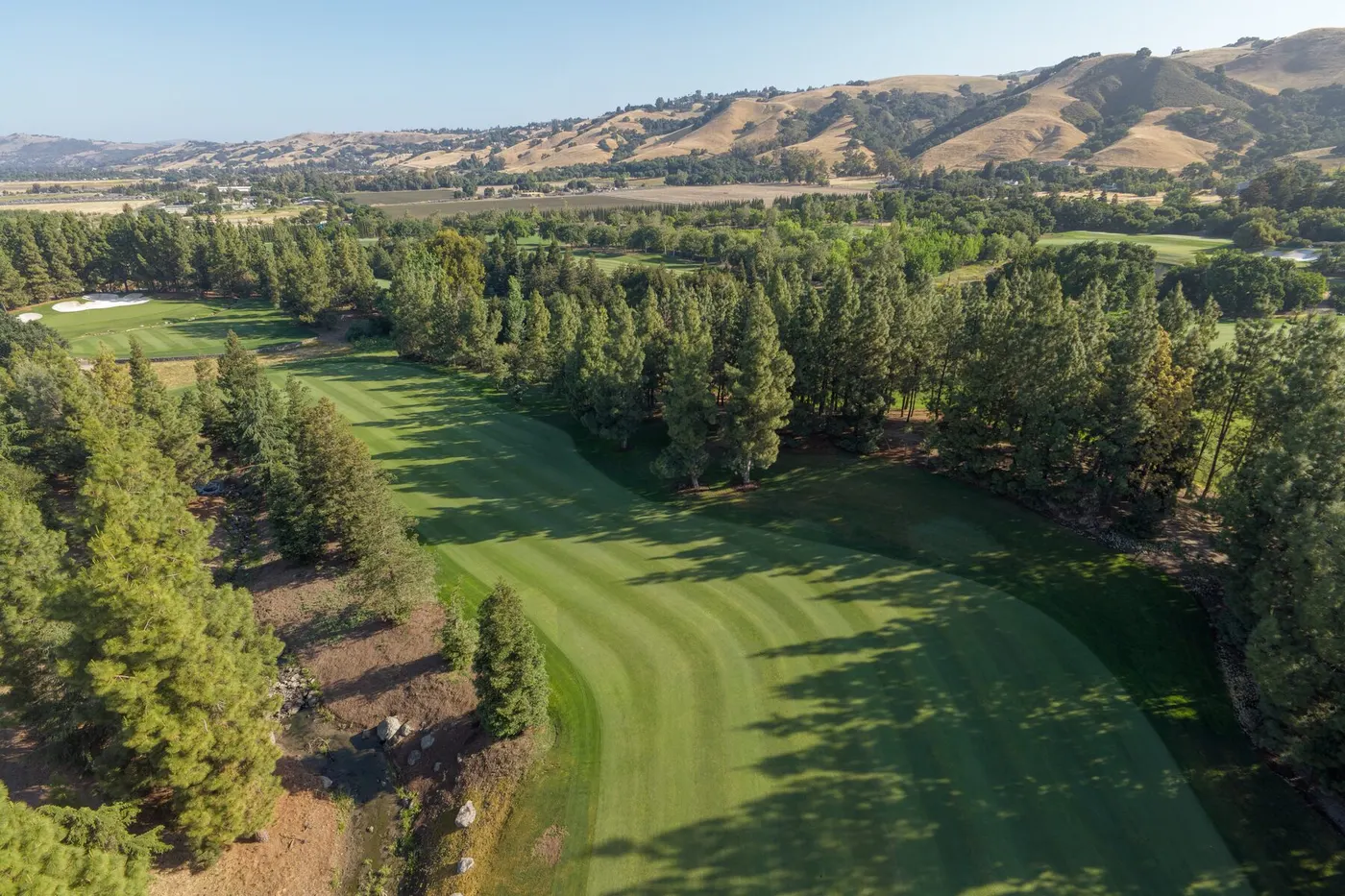 A tree-lined fairway at The Institute seen from above